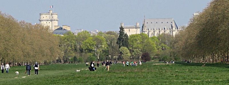 L'Allée Royale