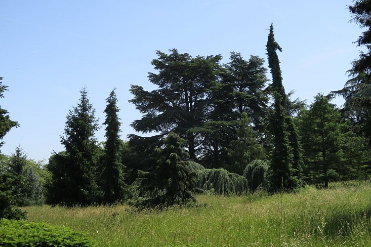 L'arboretum de Paris