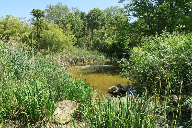 L'arboretum de Paris