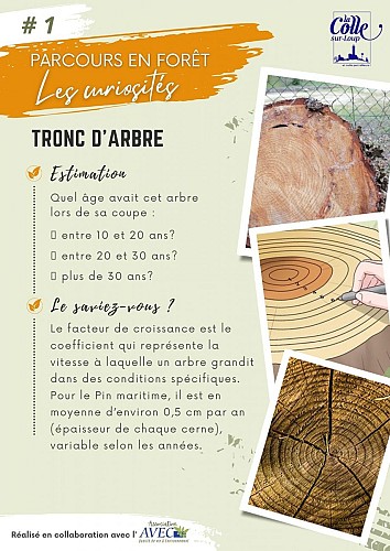 image du object