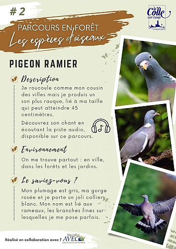 image du object