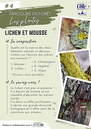 image du object
