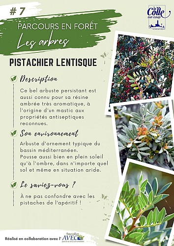 image du object