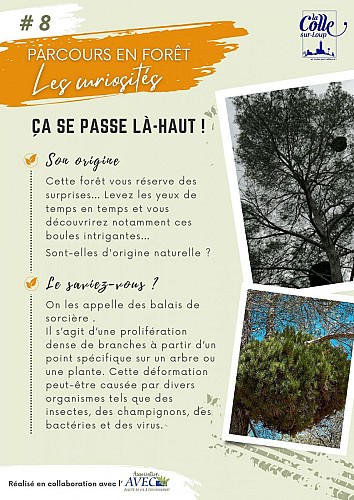 image du object