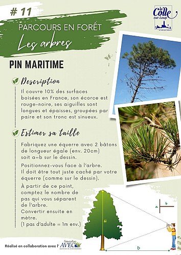 image du object