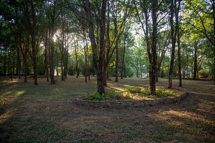 Domaine des Gelinières - Le Studio