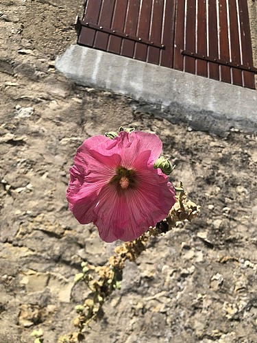 image du object