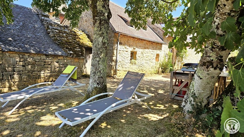 Gîte de la Comète_2