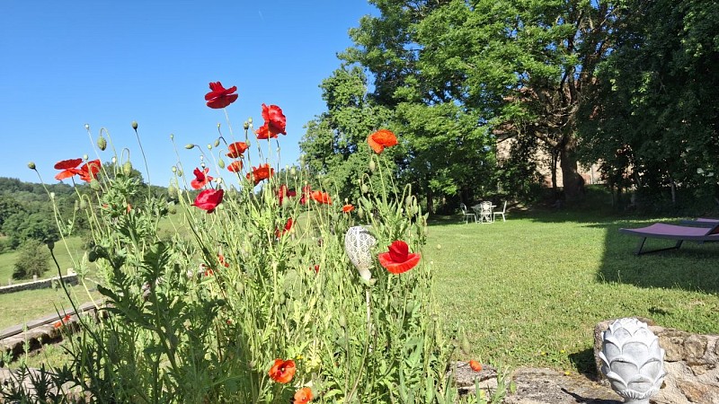 Jardin
