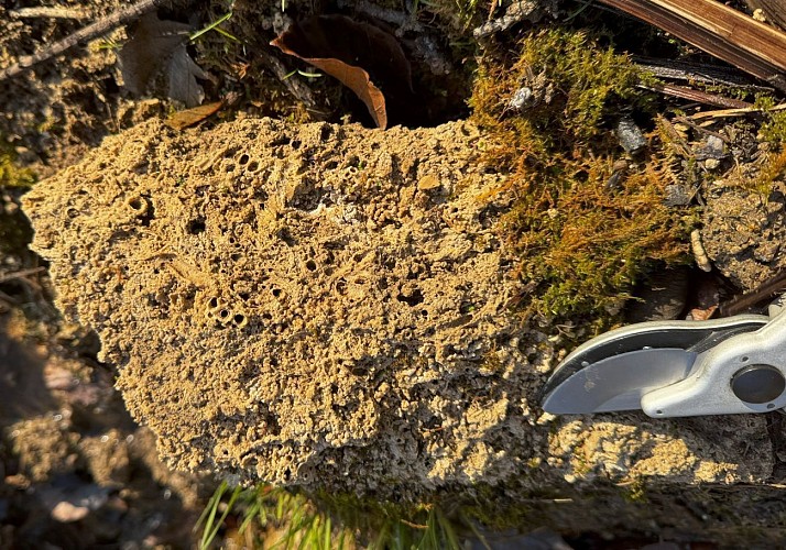 image du object
