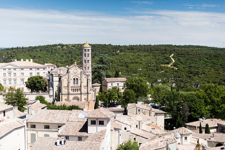 Cathédrale Saint-Théodorit et Saint-Firmin
