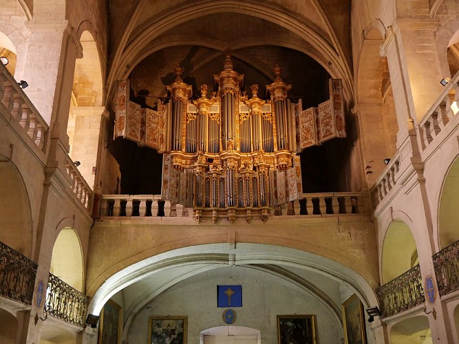 Cathédrale Saint-Théodorit et Saint-Firmin
