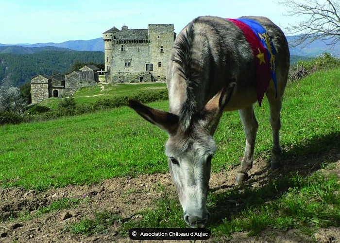 Castle of Cheylard d'Aujac