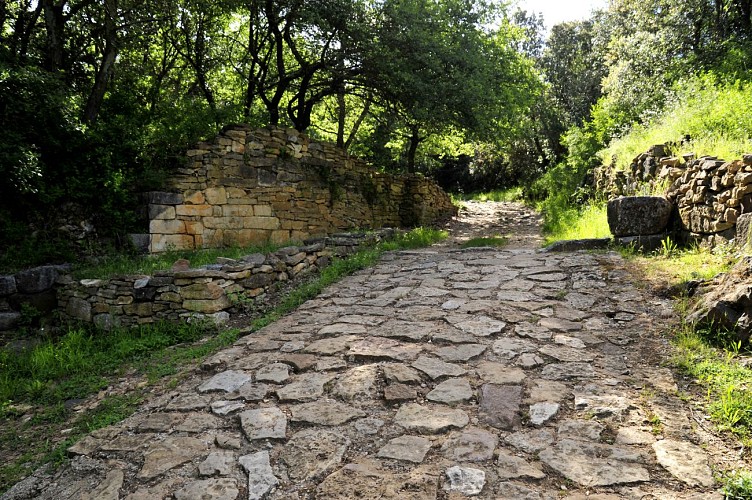 Oppidum Saint Vincent de Gaujac