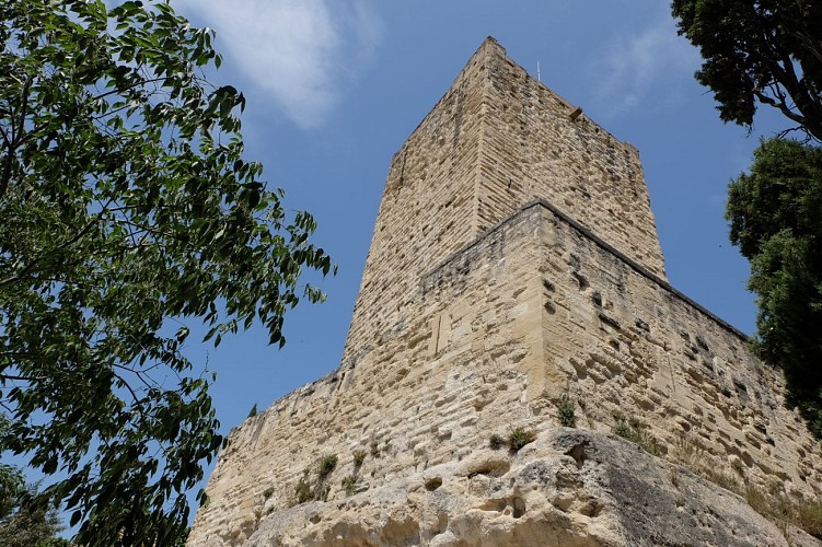 Sommières Castle