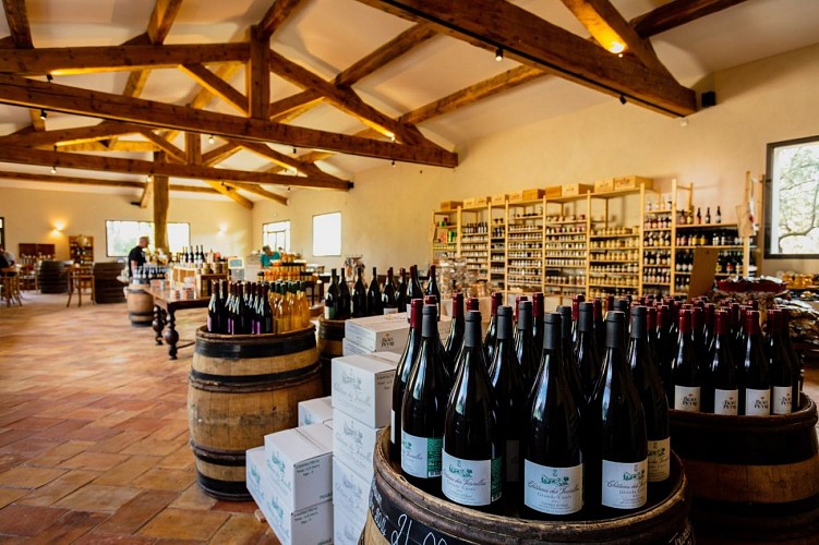 Mas of the Tourelles - Gallo-roman cellar