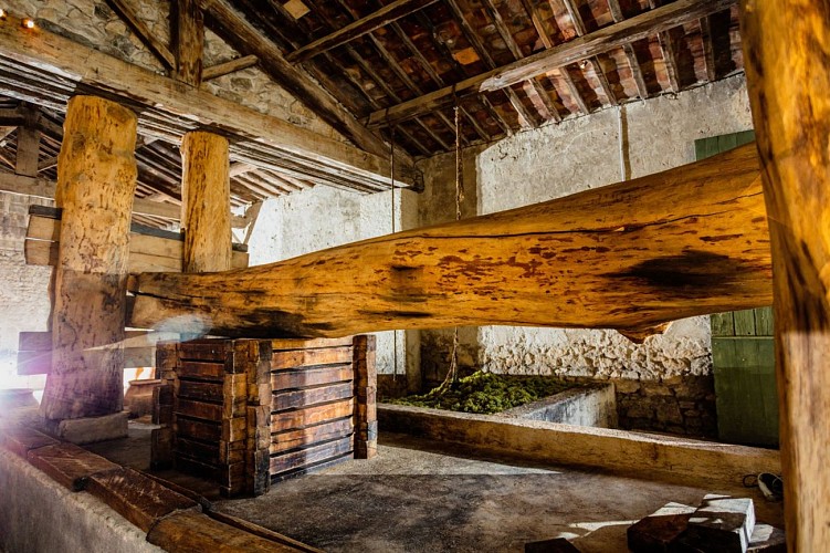 Mas of the Tourelles - Gallo-roman cellar