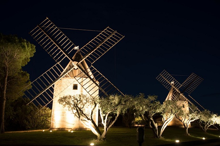 Les Moulins des Aires