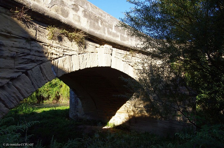 Le Vieux Pont de Serviers