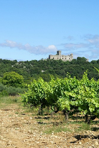 Château de Tornac