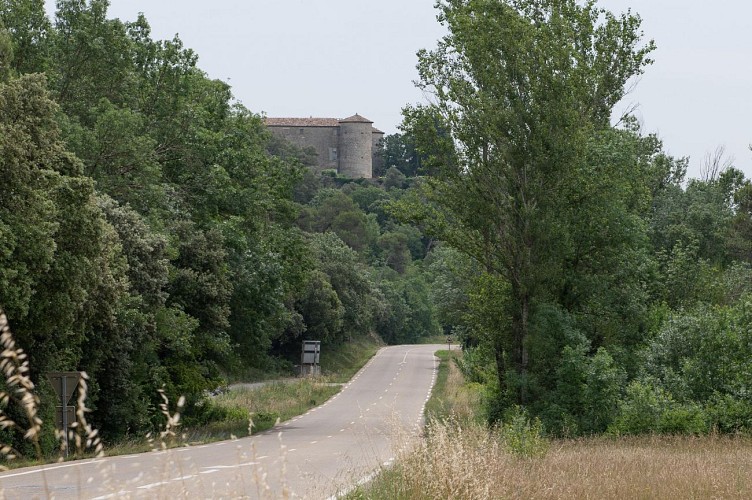 Château de Rousson