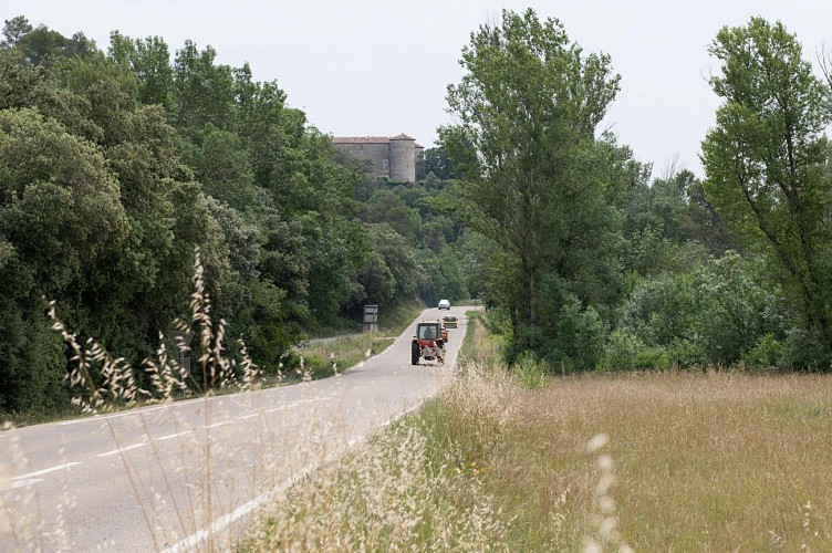 Château de Rousson