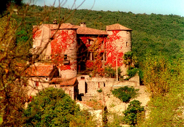 Le Château de la Tour aux Salles du Gardon