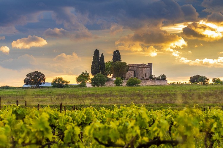 Chapelle Saint-Julien de Montredon de Salinelles