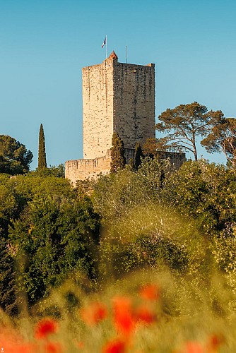 Sommières Medieval city