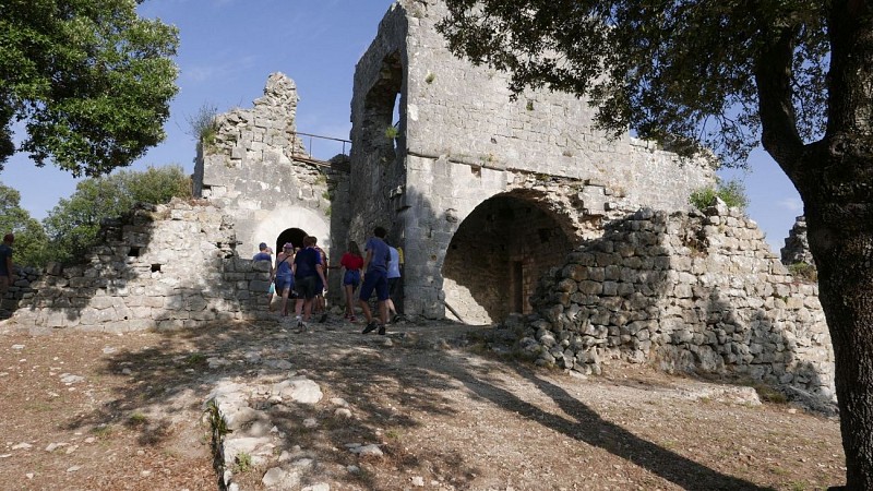 Le castrum d'Allègre