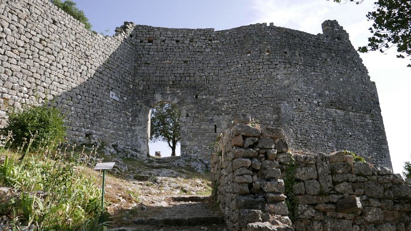Le castrum d'Allègre