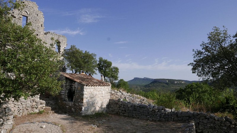 Le castrum d'Allègre