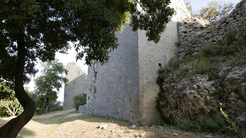 Le castrum d'Allègre