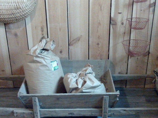 POINT DE VENTE DE PRODUITS BIO - GAEC LE PALAINEAU