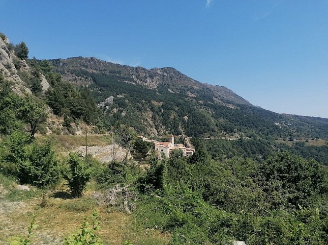 Toudon