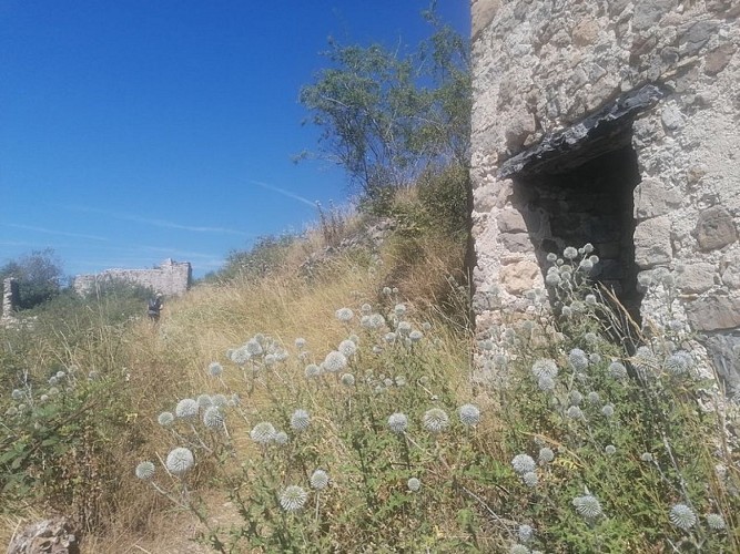 Les restanques