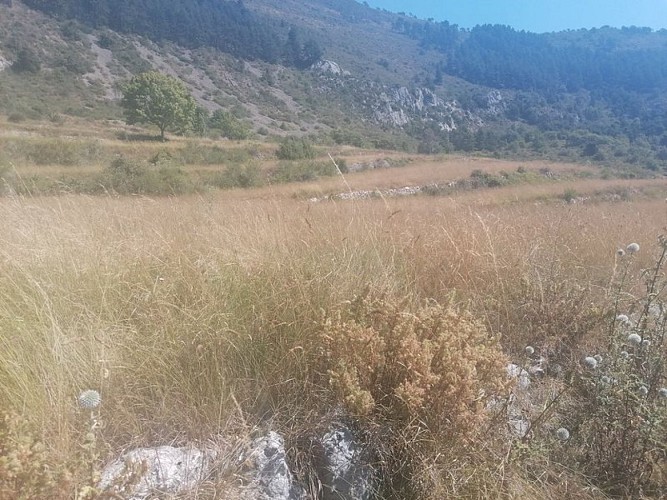 Les restanques