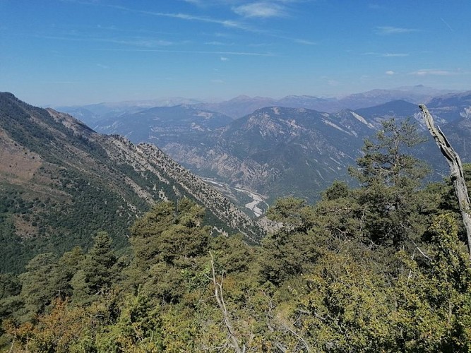 Point de vue