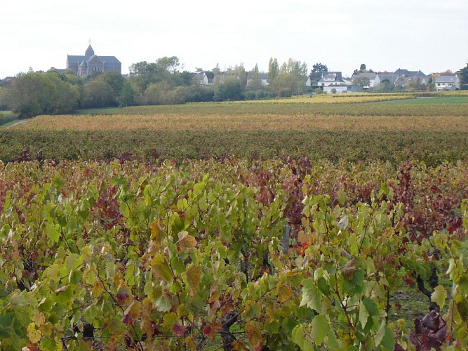 Domaine du Roty