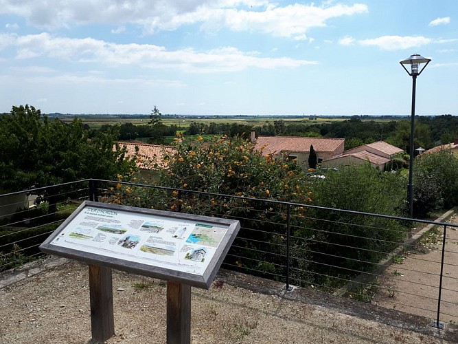 Animation nature, Paysages de marais