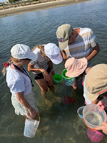 Les sorties naturalistes avec le Seaquarium Institut Marin