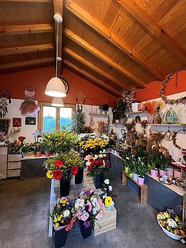 Fleurs d'Aulps