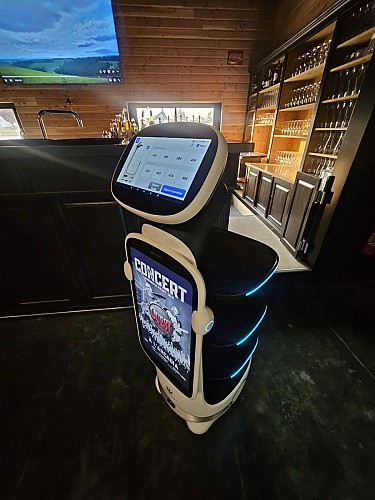 Robots de service