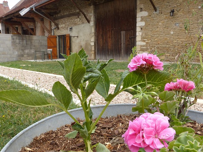 Jardin