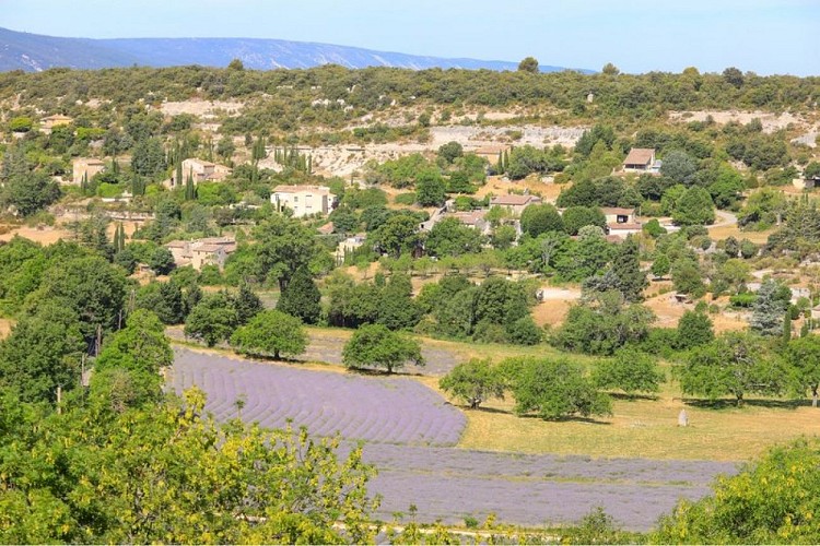 image du object