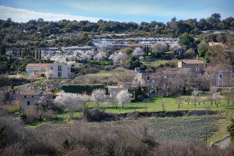 Buoux et vallon de la Loube