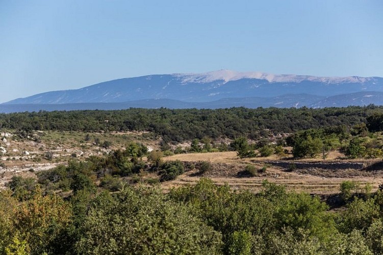Amont du vallon de la Loube, Monts-de-Vaucluse et Ventoux au loin