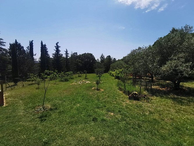 La Hutte - Glamping romantique en sud Ardèche