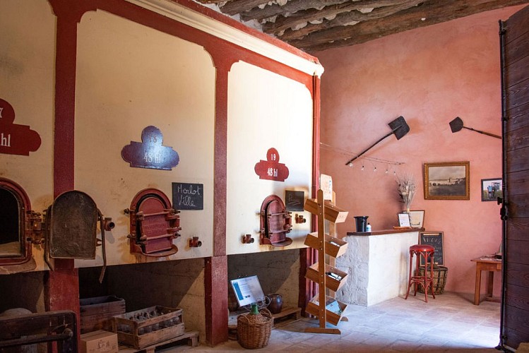 Visit and tasting at Domaine de la Tour