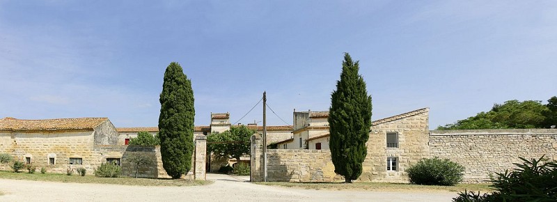 Visit and tasting at Domaine de la Tour